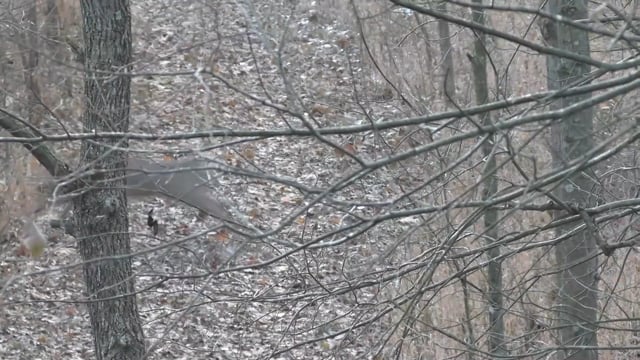 2ndNature TV - S1E1 - 2 Minute Warning.mp4