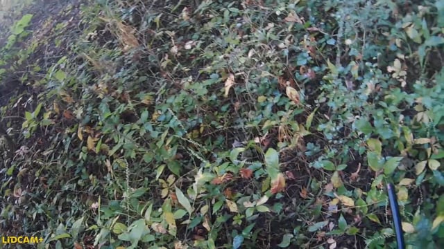 True Life Hunting Adventures - Season 2 - Episode 3 - Ohio Squirrel and Crow Hunting.mp4