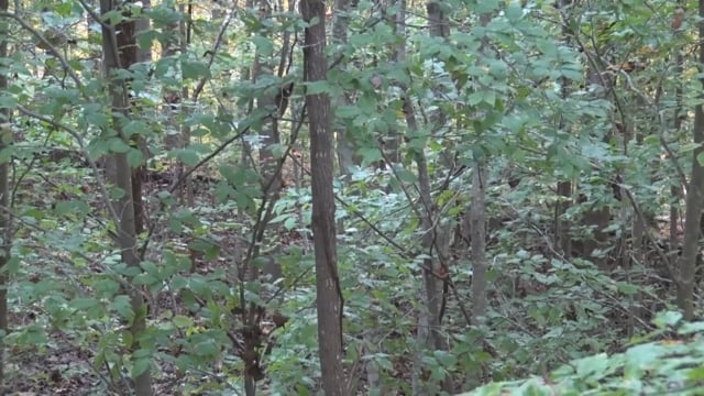 Aaron Outdoors - S4 Episode 12 - First Blood.mp4