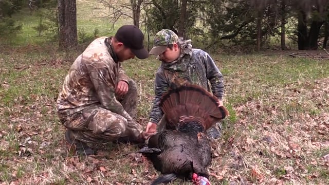 Whitetail Reign - Episode 6 - Turkeython Part 2.mp4