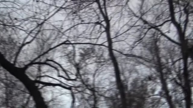 Outdoors in the Delta - Episode 7 - S12 Duck Hunt