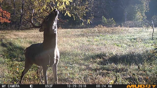 Aaron Outdoors - Episode 7 - S4 ToughLuck