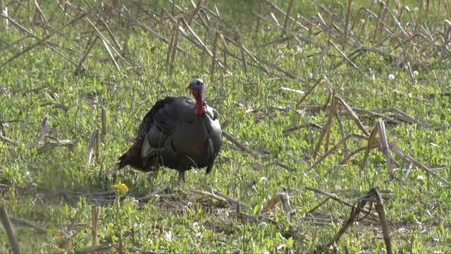 Aaron Outdoors - Episode 6 - S4 The Honey Hole