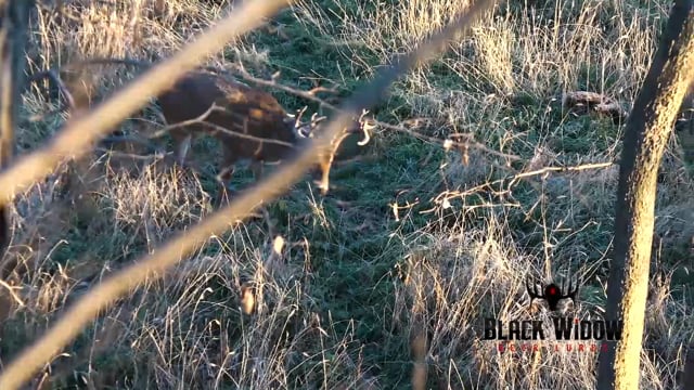 704 Outdoors - Episode 7 - S5 Anson County Big Game Hunt