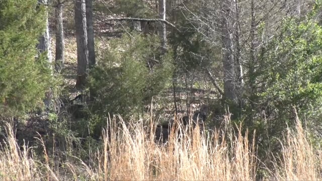 Aaron Outdoors - Episode 5 - S4 Birthday Bird