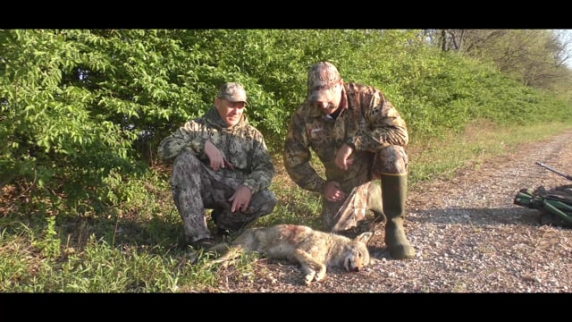 All Seasons Pursuit - Episode 3 - coyote smack down