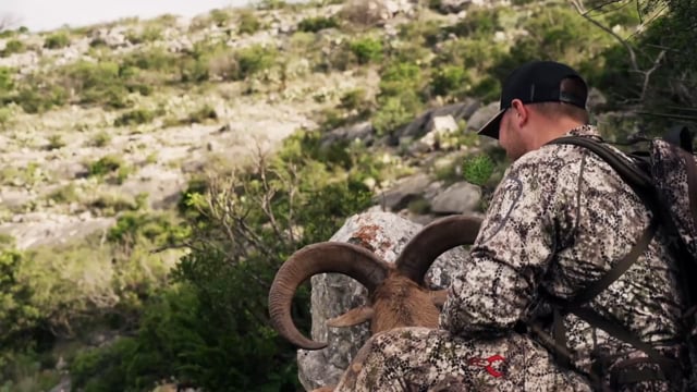 Bearded Buck - Episode 12 - Four Years