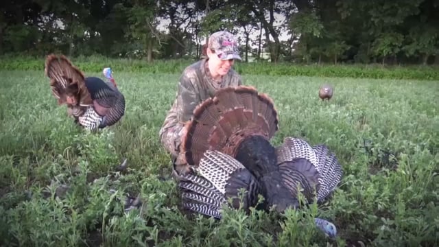 Total Outdoor Pursuit - Episode 3 - S4 The Zombie Deer