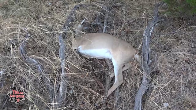 Texas Game Hunters - Episode 9 - S3 Whitetail Warriors Part 1
