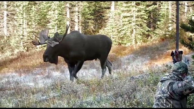 Whitetail Journey - Episode 6 - KY IN Whitetails