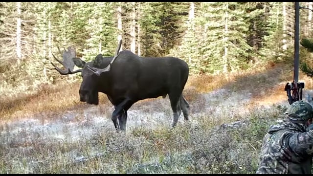 Whitetail Journey - Episode 5 - Montana Whitetails pt 2