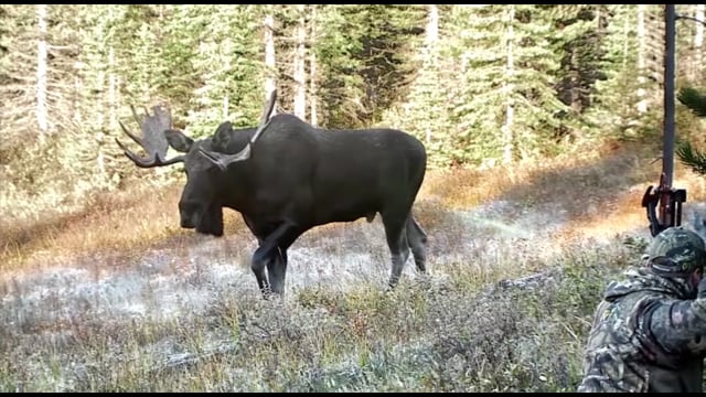 Whitetail Journey - Episode 4 - Montana Whitetails pt 1