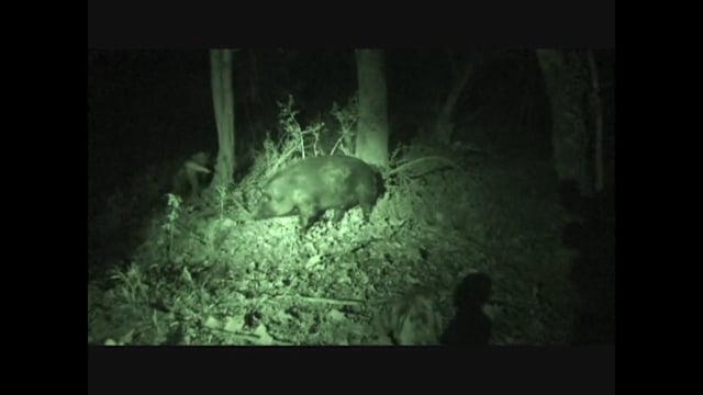 Called 2 Hunt - Episode 1 - Night Shot