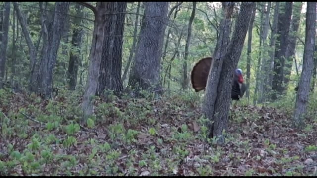 Outdoors in the Delta - Episode 1 -  Season 12 Smallmouth with Landen