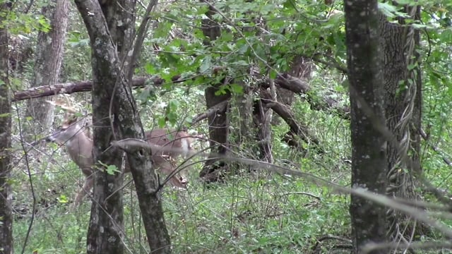Mason-Dixon Experience S4E11 MoCo Muzzleloaders
