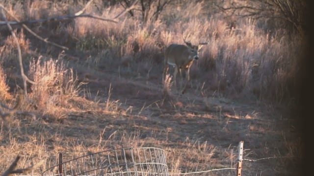 The Game - Episode 2 - TN KY Ridge Crest