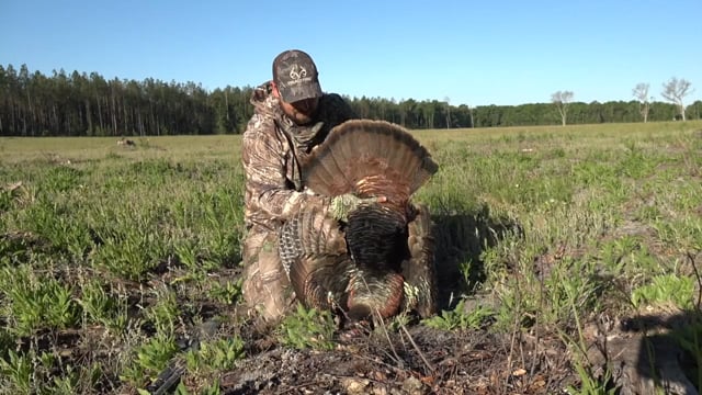Backwoods Life Webisodes - Episode 10 - Florida Pimp Limp Gobbler