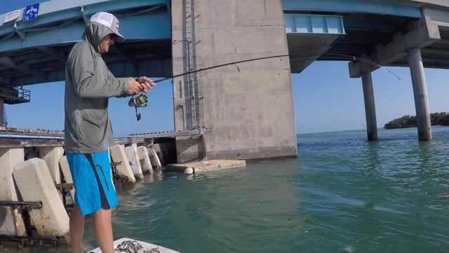 Let's Take it Outside with Misty Wells - Episode 20 - Misty Wells Tiny Sharks.Barracudas 5.24