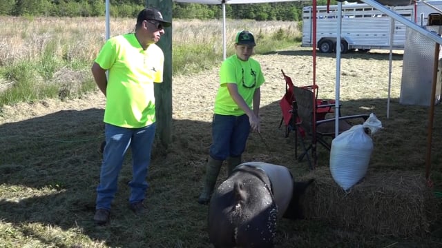 Soul Hunters - Albemarle 4-H Livestock Show & Sale in Eastern, NC