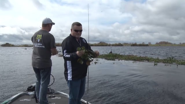 The Direction TV - Florida Bassin