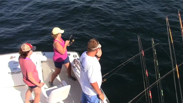 The Mason Dixon Experiment - Offshore Turkey