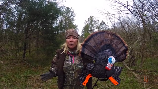Let's Take it Outside with Misty Wells - Turkey Hunting