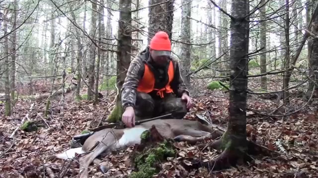 Wild Maine Outdoors - Disappointment Ends with Meat in the Freezer