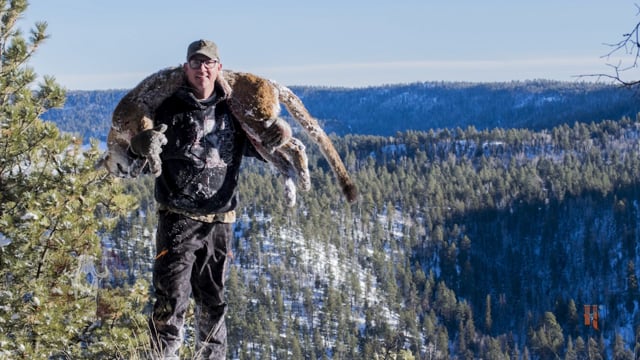 Carnivore TV - Calvin's Camera Part 2