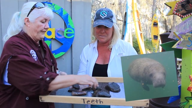 Let's Take it Outside with Misty Wells - Going with the Flow Paddle down the Peace River Arcadia, FL