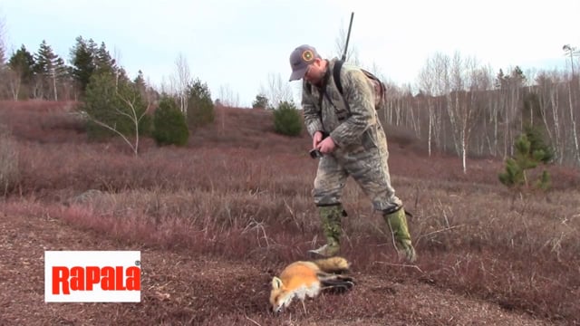 Wild Maine Outdoors - Small Game Bonanza Vol. 2