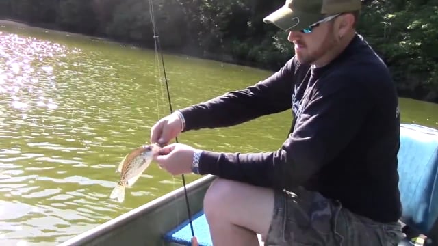 The Mason Dixon Experiment - Another Crappie Day
