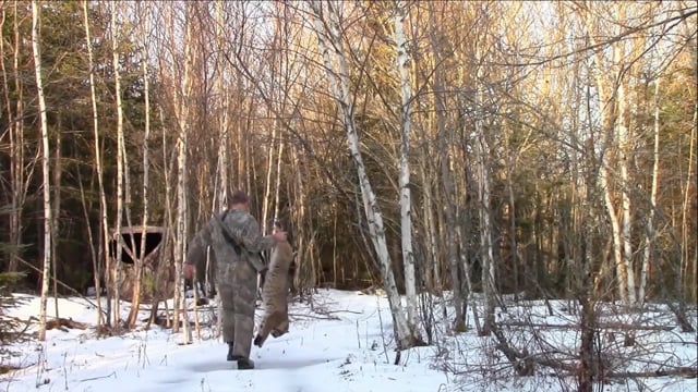 Wild Maine Outdoors - Bustin Bobcats Part 2