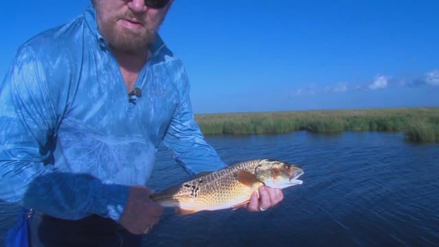 O'Neill Outside - Darrin At Cajun Vista Lodge