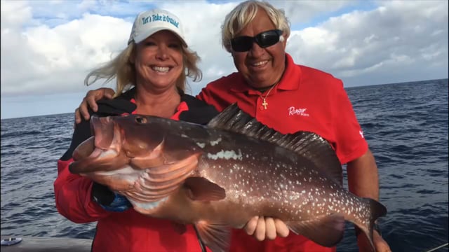 Let's Take it Outside with Misty Wells - Grouper Madness