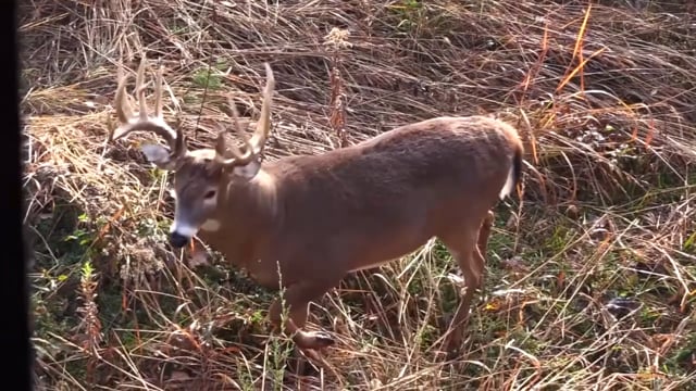 Stevens Family Outdoors - A Traditional Bowhunt
