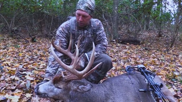 Whitetail Edge - Roller Coaster