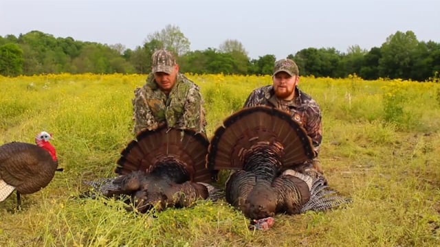 Whitetail Reign - Turkeython Part 1