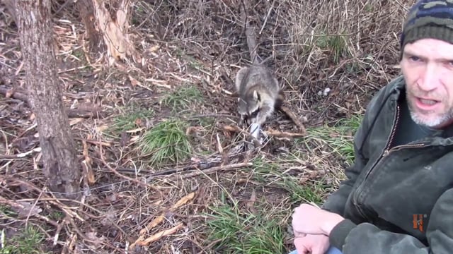 Jason Houser Outdoors - Coon Trapping