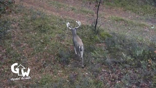 Growin’ Up Wild - Central Wisconsin Hunting
