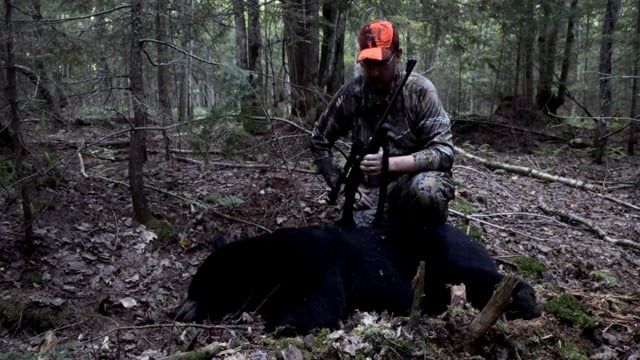 Top Ten Percent - Bear Season 2018