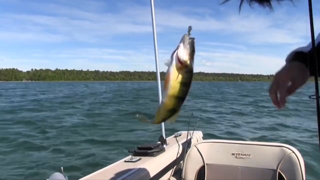 Growin’ Up Wild - Fishing with GUW