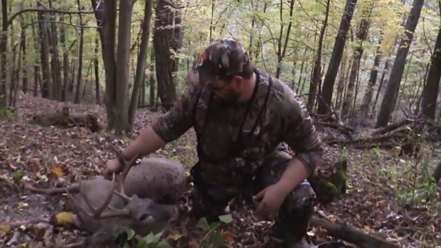 Whitetail Reign - Western Virginia Ain't a State