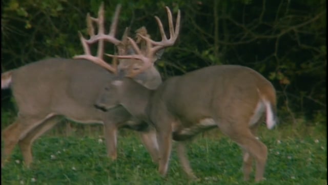 World of Rush Outdoors - Joe Pio's Courageous Story