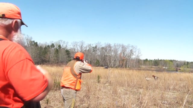 Smacked TV - Duck & Quail Hunting in Georgia