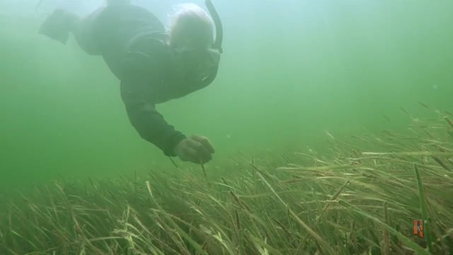 Let's Take it Outside with Misty Wells - Scalloping Florida Style