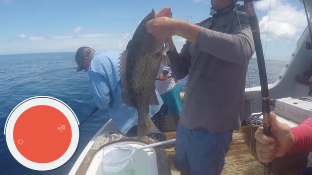 Let's Take it Outside with Misty Wells - Fishing the Historic Middle Grounds of Florida