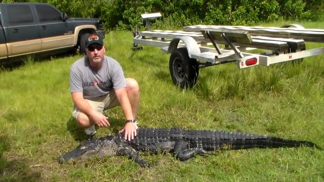 Full Range Outdoors - Okeechobee Gator