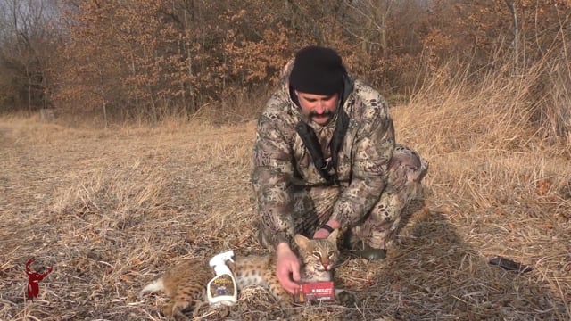 All Seasons Pursuit - Coyote Hunting Missouri