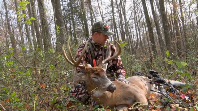 Whitetail Journey - An Ohio Monarch