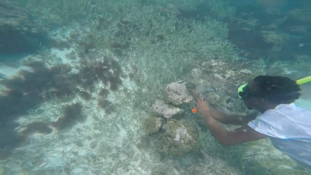 Soul Hunters - Variety clips with the Hollowell's and Justin